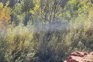 2955 S Sexton Ranch Rd, Cornville, AZ 86325 - Photo 52