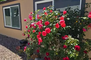 2511 N 56th St, Mesa, AZ 85215 - Photo 4