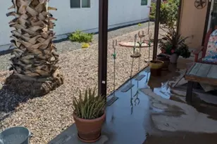 2511 N 56th St, Mesa, AZ 85215 - Photo 2