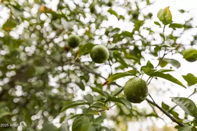 14719 W Ely Drive, Surprise, AZ 85374 - Photo 12