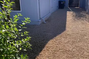 3478 E Sharon Dr, Phoenix, AZ 85032 - Photo 26