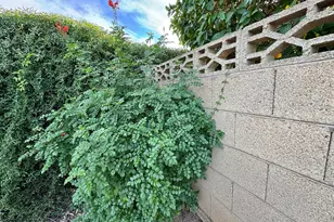 20415 N Sonnet Dr, Sun City West, AZ 85375 - Photo 24