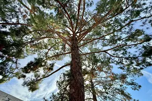 20415 N Sonnet Dr, Sun City West, AZ 85375 - Photo 10