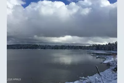 2526 Chiricahua Drive, Show Low, AZ 85901 - Photo 48