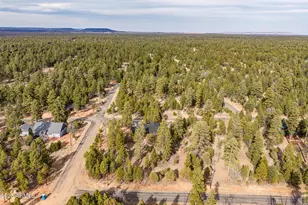 5018 Durango Dr, Happy Jack, AZ 86024 - Photo 10