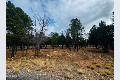 2793 Hummingbird Circle #159, Happy Jack, AZ 86024 - Photo 1