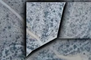 11Xx S Hardt Tank S Lot 4 Rd, Queen Valley, AZ 85118 - Photo 1