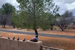 334 S Sky Ranch Rd, Sierra Vista, AZ 85635 - Photo 34