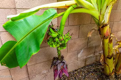 4868 S Hemet Street, Gilbert, AZ 85298 - Photo 68