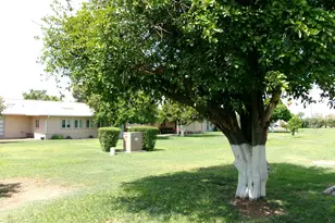 11029 W Caron Dr, Sun City, AZ 85351 - Photo 32