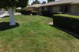 11029 W Caron Dr, Sun City, AZ 85351 - Photo 36