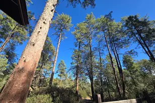 403 N Grapevine Dr, Payson, AZ 85541 - Photo 44