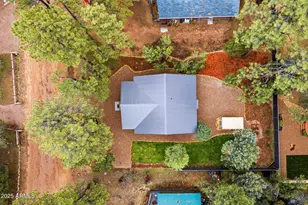 1979 Christmas Pine Circle, Overgaard, AZ 85933 - Photo 28