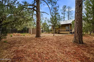 1979 Christmas Pine Circle, Overgaard, AZ 85933 - Photo 24