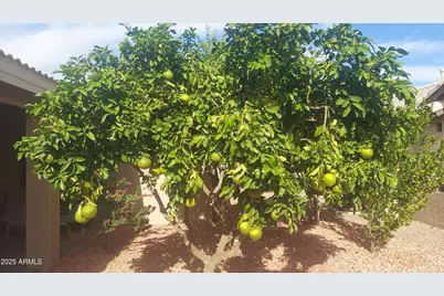 3691 N 153rd Lane, Goodyear, AZ 85395 - Photo 18