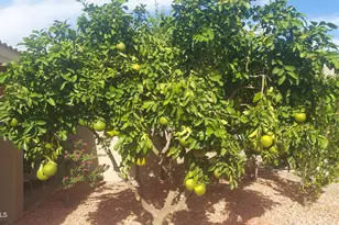 3691 N 153rd Ln, Goodyear, AZ 85395 - Photo 18