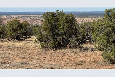 Lot 62 Sierra Highlands Ranch -- #62, Saint Johns, AZ 85936 - Photo 6