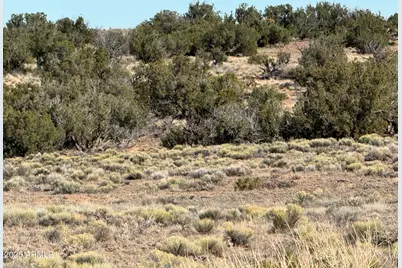 Lot 62 Sierra Highlands Ranch -- #62, Saint Johns, AZ 85936 - Photo 12
