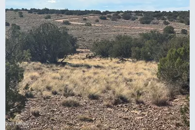 Lot 62 Sierra Highlands Ranch -- #62, Saint Johns, AZ 85936 - Photo 10