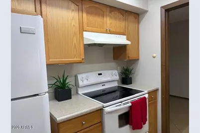 13232 N 98th Avenue #E, Sun City, AZ 85351 - Photo 8