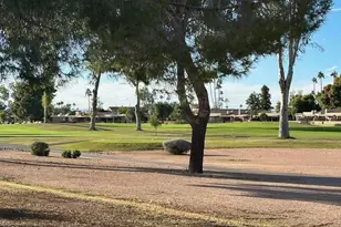 10226 E Michigan Ave, Sun Lakes, AZ 85248 - Photo 10