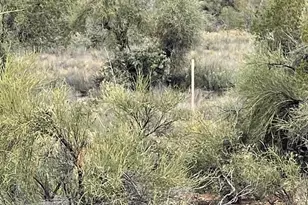 4750 E Crazy Horse Circle, Rimrock, AZ 86335 - Photo 14