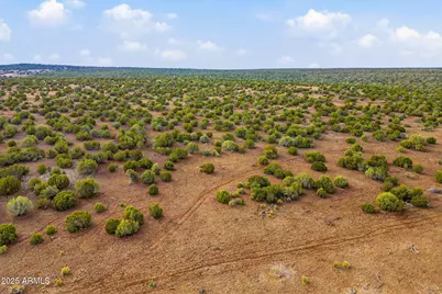 Tbd Silver Lake Blvd 16.32 Acres -- #L & N, Show Low, AZ 85901 - Photo 16