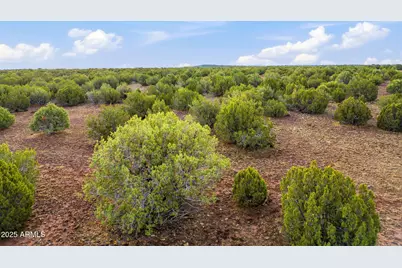 Tbd Silver Lake Blvd 16.32 Acres -- #L & N, Show Low, AZ 85901 - Photo 14