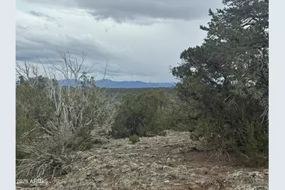 24 Acr 8051 -- #2355, Concho, AZ 85924 - Photo 1