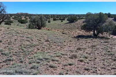 212 County Rd N9226 -- #-, Concho, AZ 85924 - Photo 14