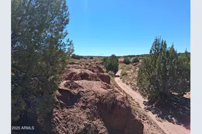 236 County Rd N9226 -- #-, Concho, AZ 85924 - Photo 8