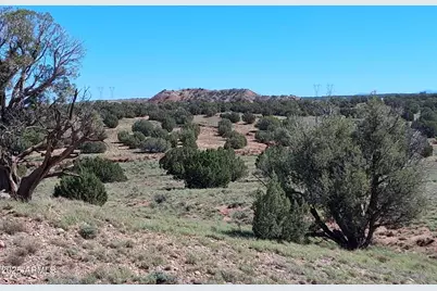 236 County Rd N9226 -- #-, Concho, AZ 85924 - Photo 16