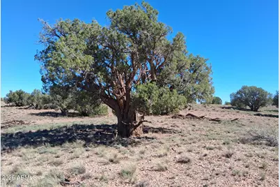 236 County Rd N9226 -- #-, Concho, AZ 85924 - Photo 4