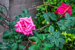 2631 E Northridge St, Mesa, AZ 85213 - Photo 34