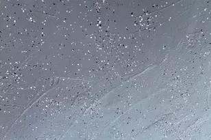 8623 W Indianola Ave, Phoenix, AZ 85037 - Photo 6