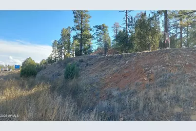 1915 Az-260 -- #178, Overgaard, AZ 85933 - Photo 6