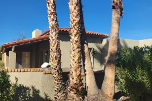 25827 N Primo Circle, Rio Verde, AZ 85263 - Photo 34