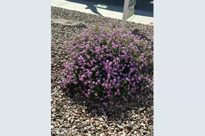 7866 W Willow Way, Florence, AZ 85132 - Photo 12