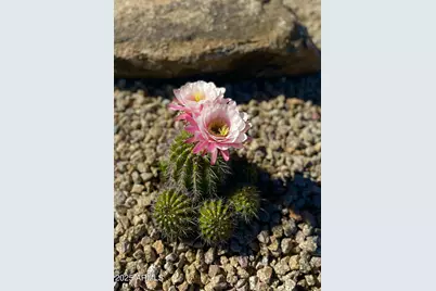 2049 E Gaffney Road, New River, AZ 85087 - Photo 62