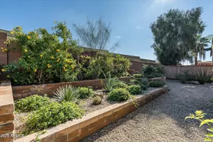 6839 N 18th St, Phoenix, AZ 85016 - Photo 42