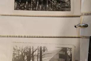 195 N Juniper Way, Payson, AZ 85541 - Photo 70