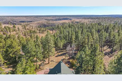 900 Eagle View Drive, Happy Jack, AZ 86024 - Photo 2