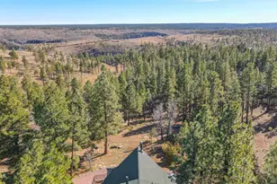 900 Eagle View Dr, Happy Jack, AZ 86024 - Photo 2