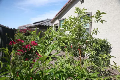 31933 N 124th Drive, Peoria, AZ 85383 - Photo 20