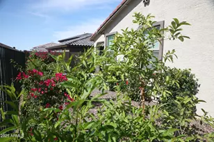 31933 N 124th Dr, Peoria, AZ 85383 - Photo 20