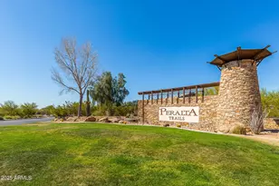 10725 E Second Water Trail, Gold Canyon, AZ 85118 - Photo 46