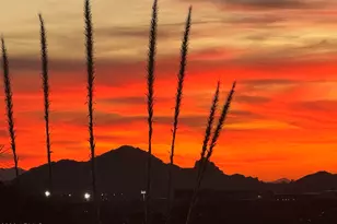 13249 E Summit Dr, Scottsdale, AZ 85259 - Photo 88