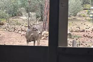 212 Creekside Cir, Prescott, AZ 86303 - Photo 32