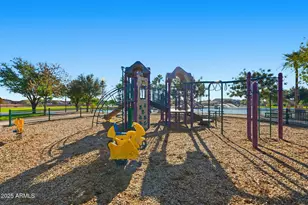 44563 W Copper Trail, Maricopa, AZ 85139 - Photo 50