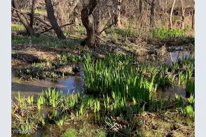0 S Tonto Creek Drive #391, Payson, AZ 85541 - Photo 6